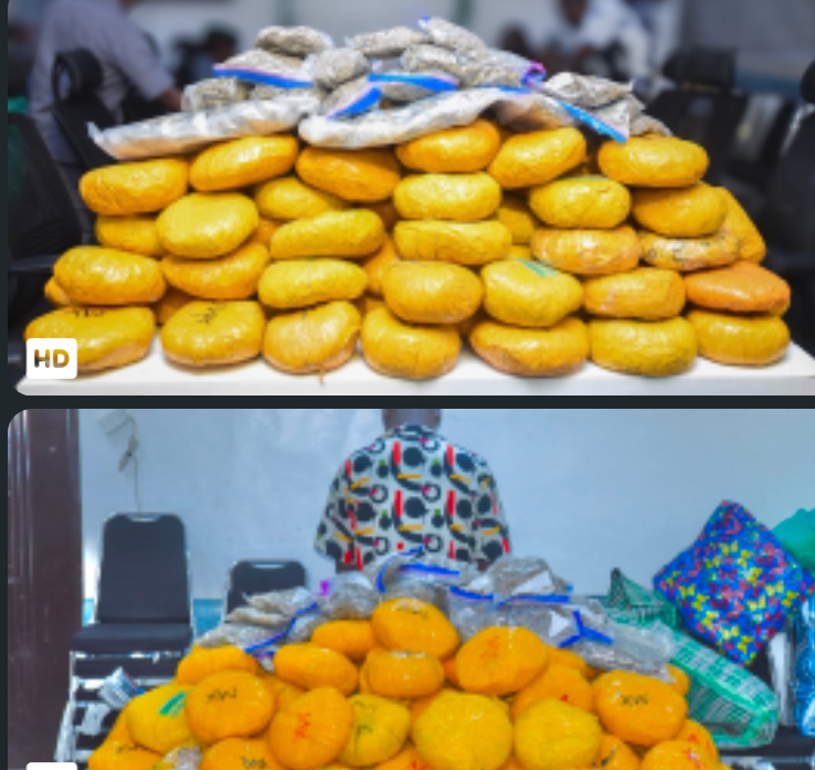 NDLEA, NAFDAC Receive ₦511.4m Seized Drugs from Customs